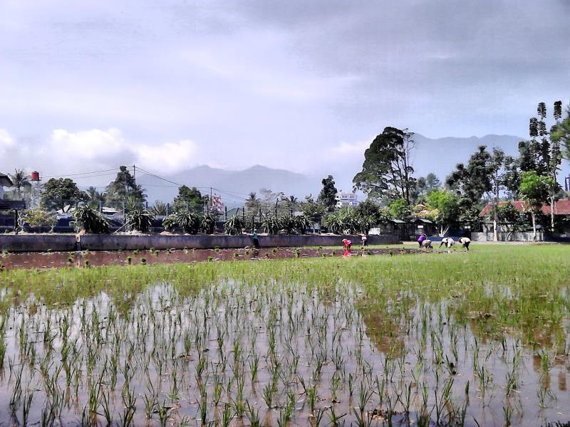 Aries Biru Resort Cisarua Eksteriør bilde